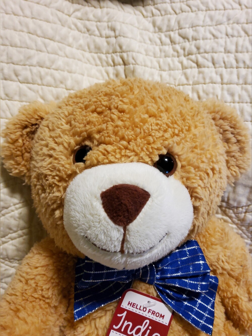 Indie Plush Teddy Bear in Tan with Blue Bow - Picture 4 of 5